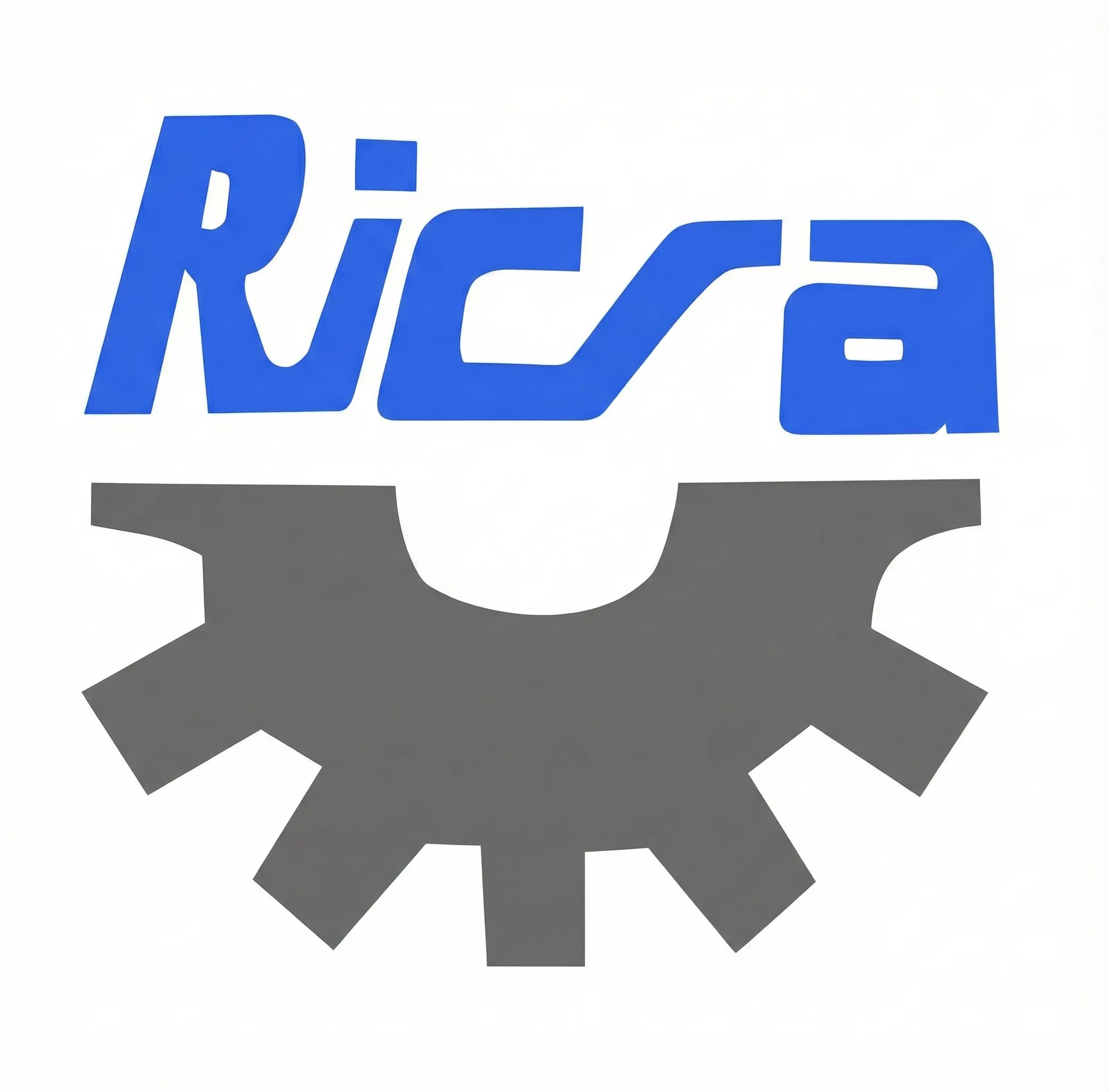 Ricsa